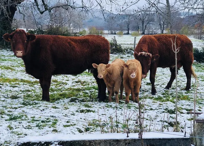 Chalet Des Monts Dore